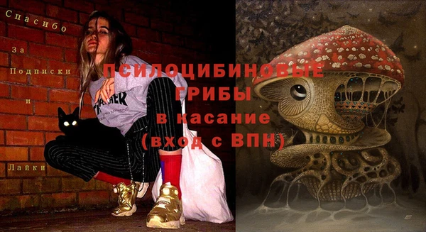 герыч Богородицк