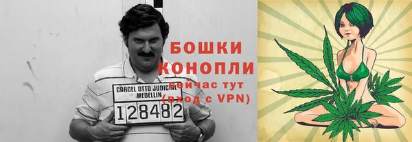mdpv Богородск