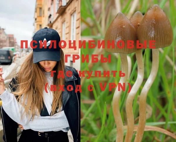 mdpv Богородск